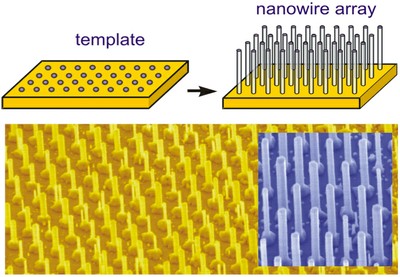 Eyecatcher ZnO nanowires