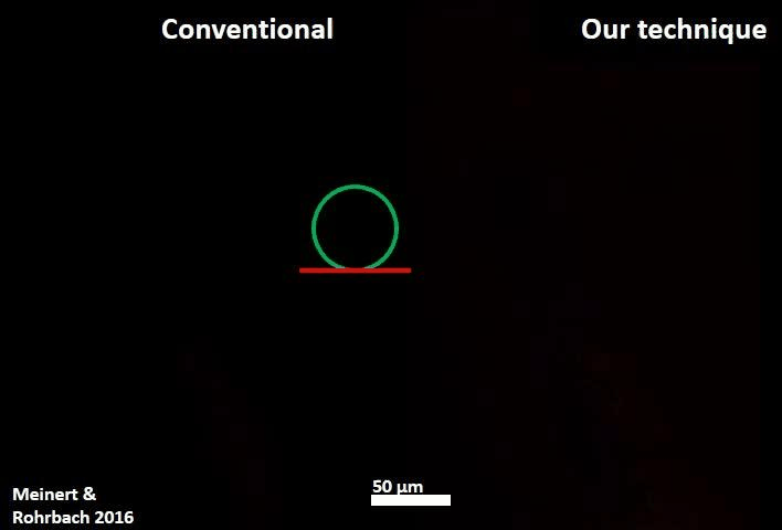 Arabidopsis Bessel-Confocal-PhotSep vs Gauss.gif