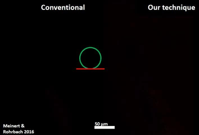 Arabidopsis Bessel-Confocal-PhotSep vs Gauss.gif