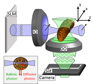 image008.png
