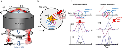 Juenger16 - SciRep - Fast- label-free super-resolution live-cell imaging using rotating coherent scattering -ROCS- microscopy-1.png Juenger16 - SciRep - Fast- label-free super-resolution live-cell imaging using rotating coherent scattering -ROCS- microscopy-1.png