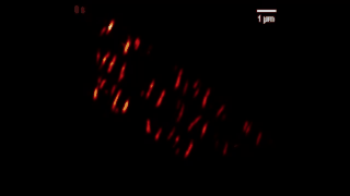 mmc4.gif
