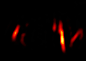 originalMreB_alive_stack01_deltaT10s_driftCorr-1_rot.gif originalMreB_alive_stack01_deltaT10s_driftCorr-1_rot.gif