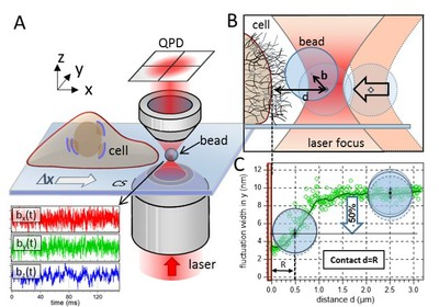 particleCellInteraction