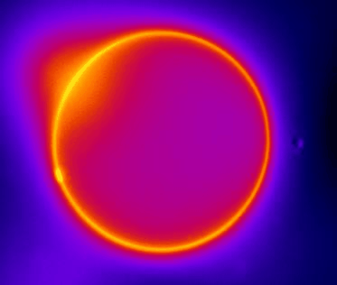 Particles uptake into GUV v1.gif