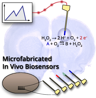 Biosensors_Weltin_IMTEK-EMES.png