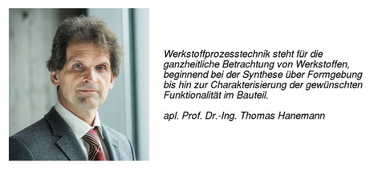 apl. Prof. Dr.-Ing. Thomas Hanemann
